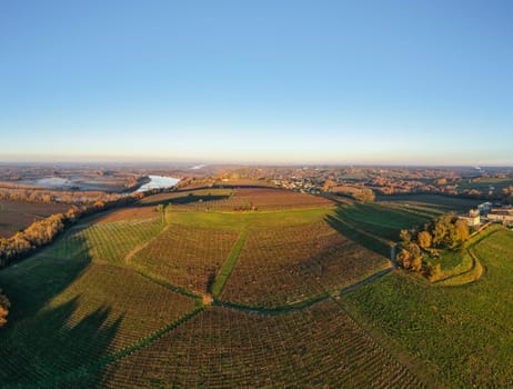 France, Gironde, Haut-Langoiran, Aerial view of the vineyard and wooded areas of Chateau de Langoiran in the Bordeaux vineyards at sunrise
