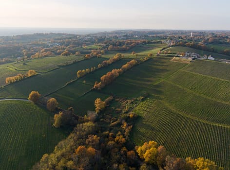 France, Gironde, Tabanac, Aerial view of the vineyard and wooded areas of Chateau le Pic in the Bordeaux vineyards at sunset. High quality photo