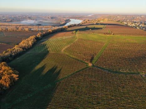 France, Gironde, Haut-Langoiran, Aerial view of the vineyard and wooded areas of Chateau de Langoiran in the Bordeaux vineyards at sunrise