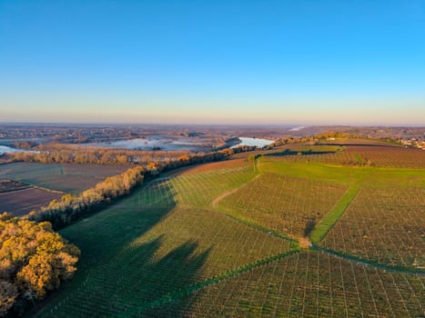France, Gironde, Haut-Langoiran, Aerial view of the vineyard and wooded areas of Chateau de Langoiran in the Bordeaux vineyards at sunrise