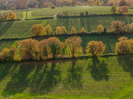 France, Gironde, Tabanac, Aerial view of the vineyard and wooded areas of Chateau le Pic in the Bordeaux vineyards at sunset. High quality photo