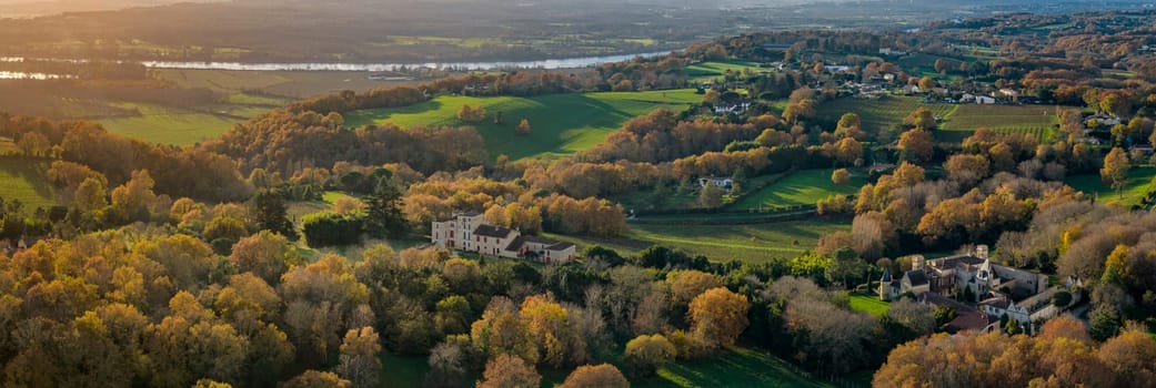 France, Gironde, Tabanac, Aerial view of the vineyard and wooded areas of Chateau le Pic in the Bordeaux vineyards at sunset. High quality photo