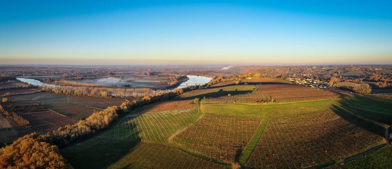 France, Gironde, Haut-Langoiran, Aerial view of the vineyard and wooded areas of Chateau de Langoiran in the Bordeaux vineyards at sunrise