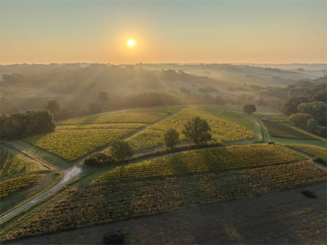 Sunset landscape bordeaux wineyard france, europe Nature. High quality photo