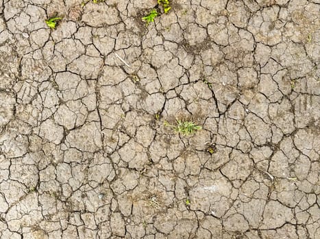 Cracked earth during dry season. Climate change, heatwaves, and environmental impact concept.