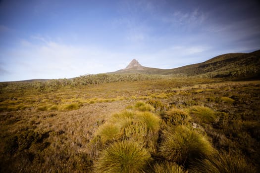 The wide landscape views early in the morning of Barn Bluff and alpine heath plants on a warm autumn evening in Cradle Mountain, Tasmania, Australia