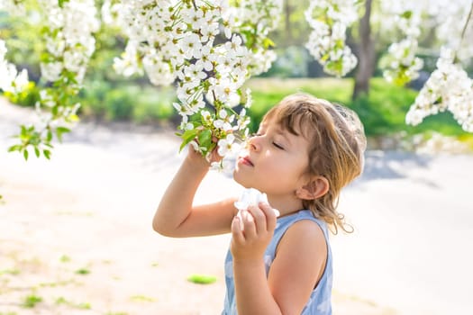 Child in a garden of flowering trees. Selective focus. kid.