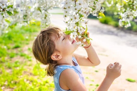 Child in a garden of flowering trees. Selective focus. kid.