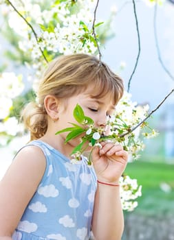Child in a garden of flowering trees. Selective focus. kid.