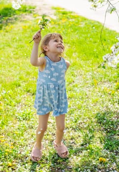 Child in a garden of flowering trees. Selective focus. kid.