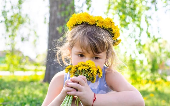 Child in the garden with a bouquet of dandelions. Selective focus. Kid.