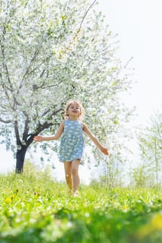 Child in a garden of flowering trees. Selective focus. kid.