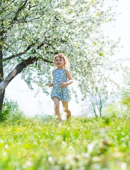 Child in a garden of flowering trees. Selective focus. kid.