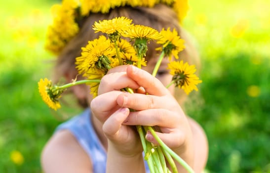 Child in the garden with a bouquet of dandelions. Selective focus. Kid.
