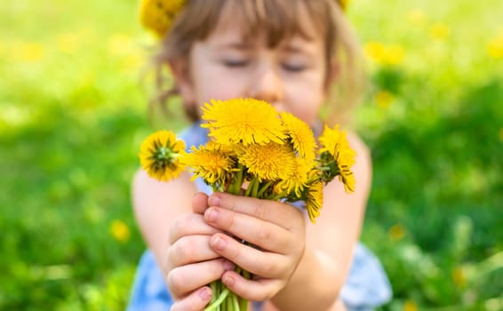 Child in the garden with a bouquet of dandelions. Selective focus. Kid.