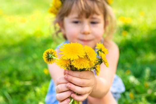 Child in the garden with a bouquet of dandelions. Selective focus. Kid.