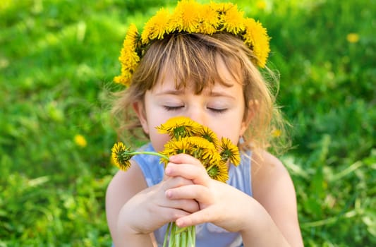 Child in the garden with a bouquet of dandelions. Selective focus. Kid.