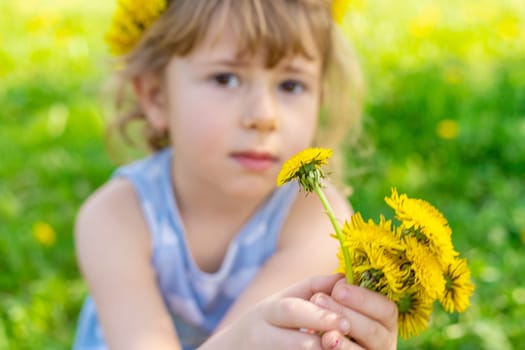 Child in the garden with a bouquet of dandelions. Selective focus. Kid.