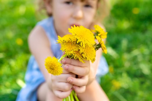 Child in the garden with a bouquet of dandelions. Selective focus. Kid.