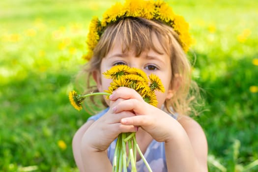 Child in the garden with a bouquet of dandelions. Selective focus. Kid.