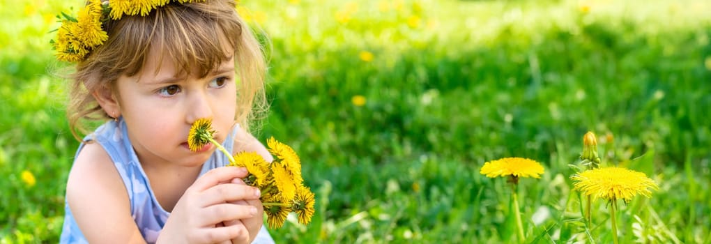 Child in the garden with a bouquet of dandelions. Selective focus. Kid.