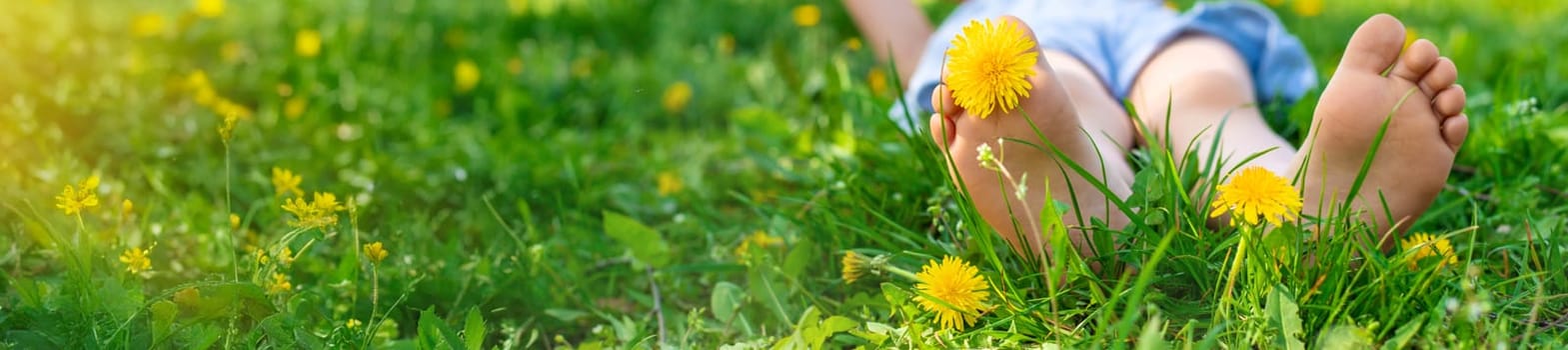 child feet in a garden with dandelions. Selective focus. kid,