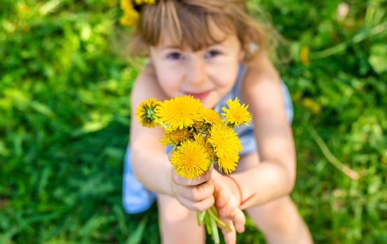 Child in the garden with a bouquet of dandelions. Selective focus. Kid.