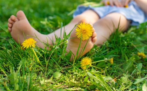 child feet in a garden with dandelions. Selective focus. kid,