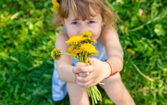 Child in the garden with a bouquet of dandelions. Selective focus. Kid.