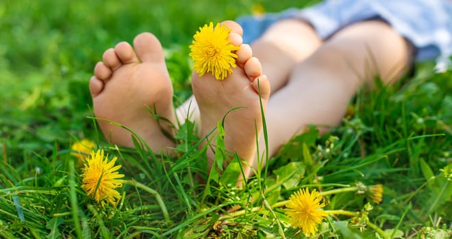 child feet in a garden with dandelions. Selective focus. kid,