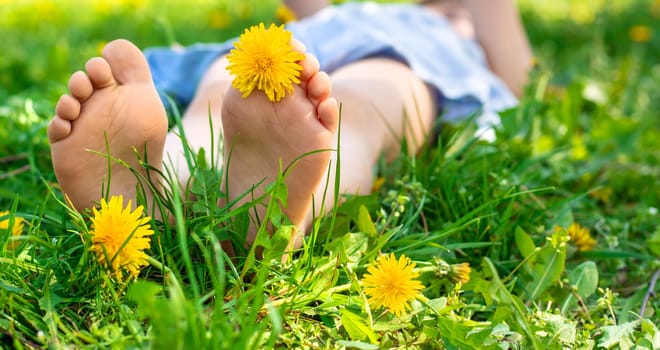 child feet in a garden with dandelions. Selective focus. kid,
