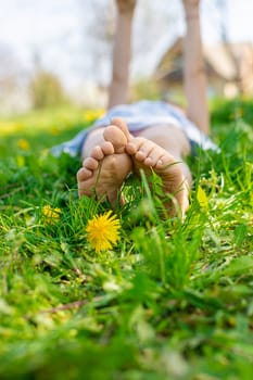 child feet in a garden with dandelions. Selective focus. kid,