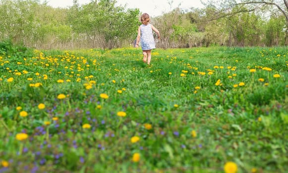 Child in the garden with a bouquet of dandelions. Selective focus. Kid.