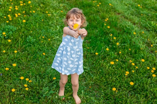 Child in the garden with a bouquet of dandelions. Selective focus. Kid.