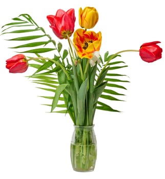 Bouquet of red, yellow, and variegated tulips with green leaves and palm fronds is arranged in a clear glass vase with water, isolated background