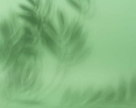 Soft, blurred shadows of palm leaves are cast across a solid light green background, creating a subtle and organic texture with copy space.