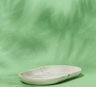 An empty, oval shaped soap dish made of white marble with gray veining sits on a light green background with soft, blurred leaf shadows