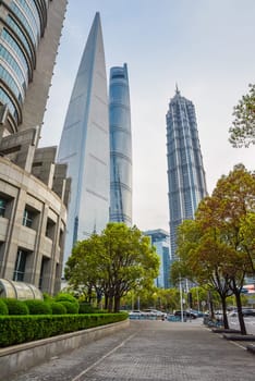 Shanghai, China - 1 April 2025: Shanghai Tower, Jinmao Tower and SWFC glow against the evening sky, framed by lush spring foliage and quiet sidewalks in Pudong's futuristic business district