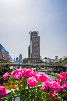 Shanghai, China - 1 April 2025: Vibrant pink flowers frame the Shanghai Urban Planning Exhibition Center with its iconic circular rooftop observatory, contrasting modern skyscrapers in the sunny business district