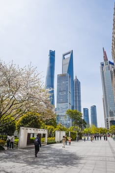 Shanghai, China - 1 April 2025: Visitors stroll along the flowering promenade with Shanghai Tower, Jinmao Tower and SWFC towering in the background under bright spring sunshine.