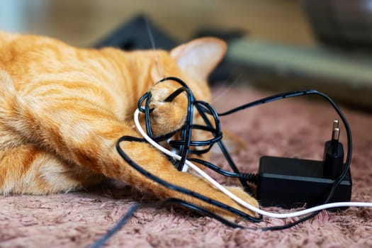 A fluffy cat is comfortably laying on the floor right next to an electronic charger that is plugged into the wall outlet