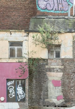 Newcastle, UK - Apr 14, 2025 - Trees growing through on brick wall and wooden window frames with Graffiti in glass and brick wall of old building. After the Kard Bar on Cross Street sadly burnt down in the town centre of Newcastle, use it as your Wallpaper, Poster and Space for text, Selective focus.