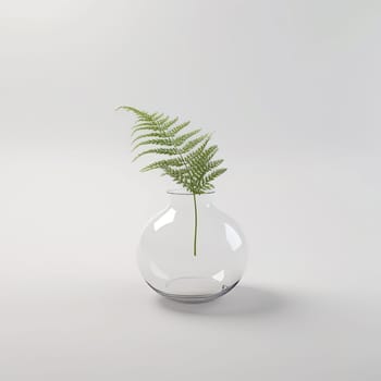 Glass vase with a fern plant on a white background