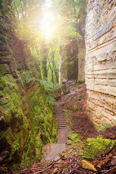 Gorges du loup or Wolfsschlucht on the Mullerthal trail near Echternach in Luxembourg, canyon with sandstone rock formation