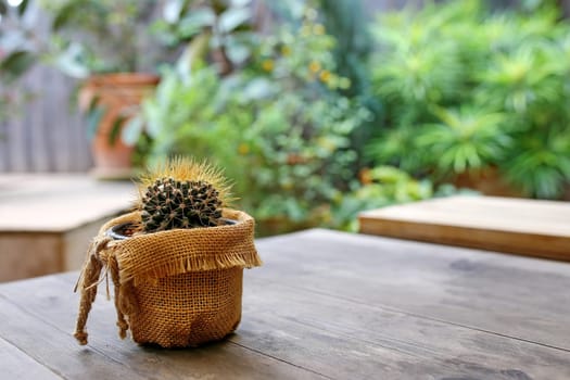 A lonely small cactus in a pot on a wooden table. There is a blurry green garden in the background, presenting the loneliness that comes from being different, therefore being separated from society.