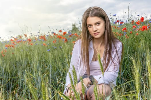 Atractive long haired  brunette girl is sitting in a cereal field with red poppies and blue cornflowers. Horizontally.