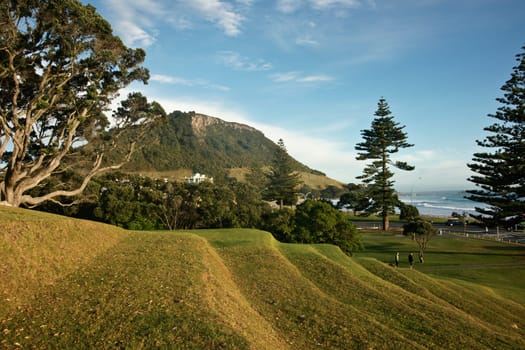 Green grassed terraces leading along slope of Mount Drury at Mount Maunganui.