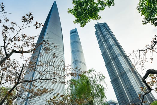 Shanghai, China - 1 April 2025: Low-angle view of Shanghai Tower, World Financial Center, and Jin Mao Tower against blue sky with tree leaves framing the composition