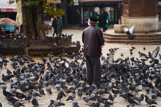 Sarajevo, Bosnia - December 2, 2022: A person is joyfully surrounded by a lively flock of pigeons in a bustling and vibrant city square area