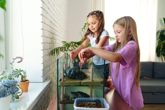 Two young girls interact with a turtle in a glass tank, feeding it worms amidst a lively living room filled with plants and natural light.